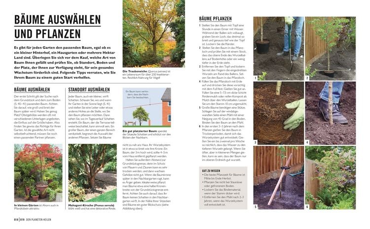 Produktbild: Gr&uuml;nes Gartenwissen. &Ouml;kologisch g&auml;rtnern