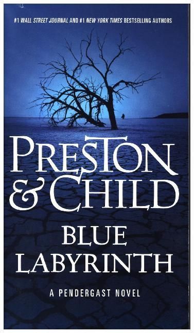 Produktbild: Blue Labyrinth