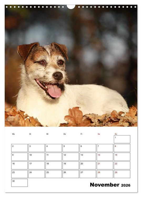 Produktbild: Tender Fellows - Parson Russell Terrier (Wandkalender 2026 DIN A3 hoch), CALVENDO Monatskalender