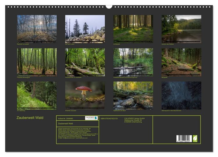 Produktbild: Zauberwelt Wald (Wandkalender 2026 DIN A2 quer), CALVENDO Monatskalender