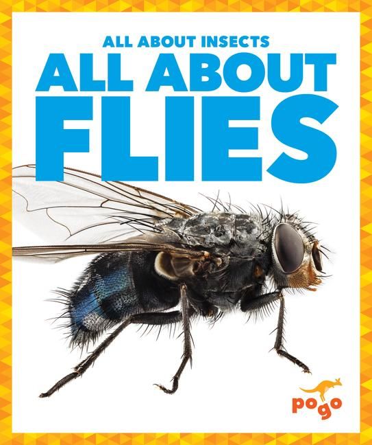 Produktbild: All about Flies