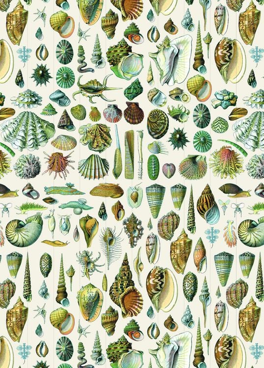 Produktbild: Natural History