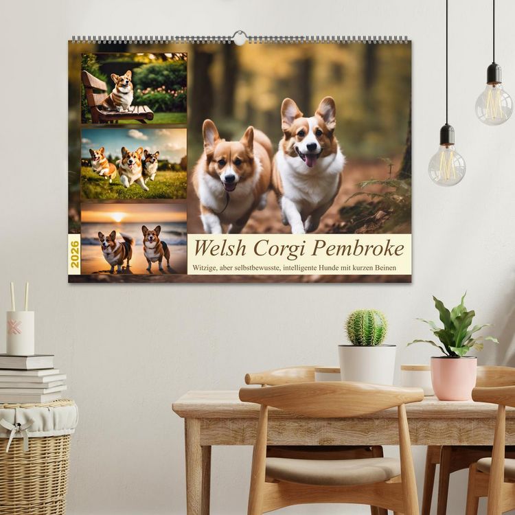 Produktbild: Welsh Corgi Pembroke (Wandkalender 2026 DIN A2 quer), CALVENDO Monatskalender