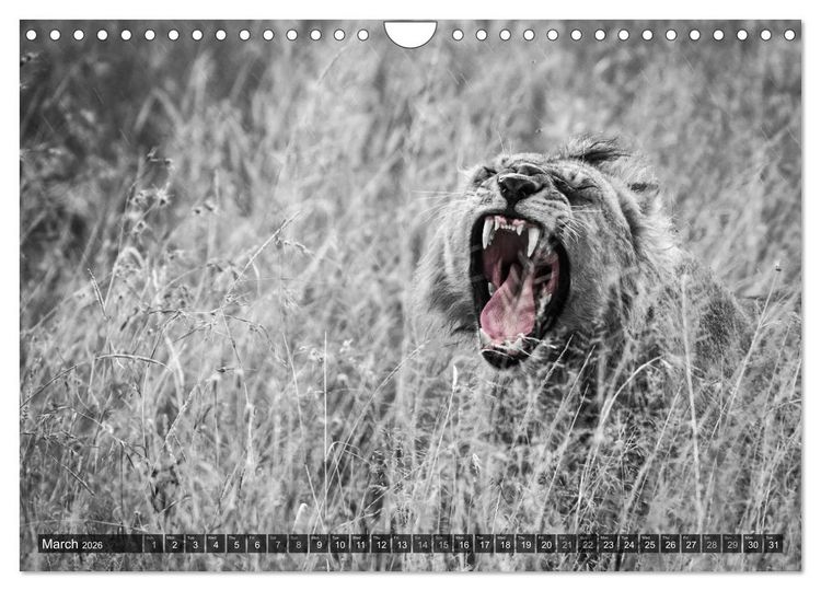 Produktbild: tanzania fine art (Wall Calendar 2026 DIN A4 landscape), CALVENDO 12 Month Wall Calendar