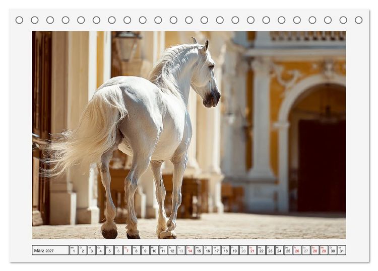 Produktbild: Spanische Eleganz. Edle Schimmel auf dem Gest&uuml;t (Tischkalender 2027 DIN A5 quer), CALVENDO Monatskalender