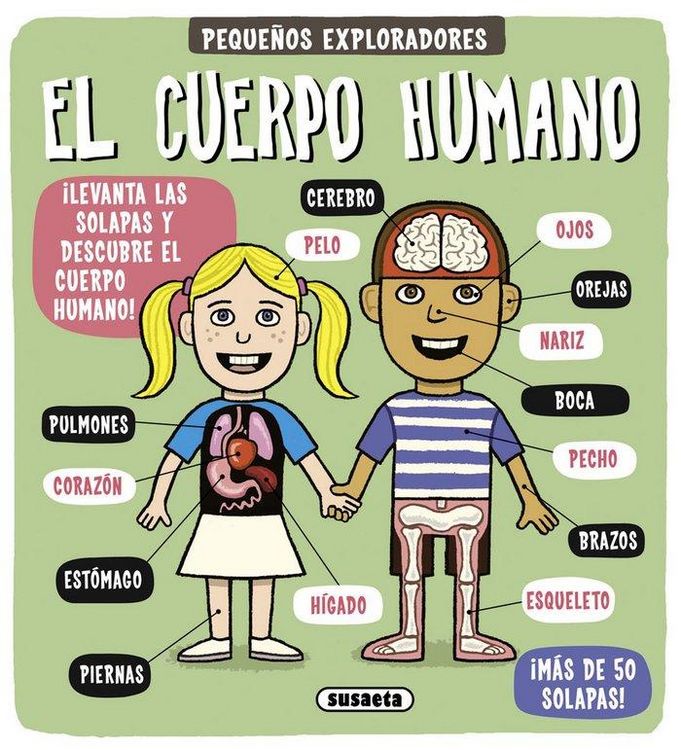 Produktbild: El cuerpo humano