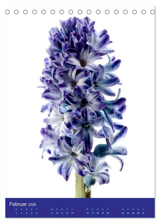 Produktbild: Nat&uuml;rlich Blumen. (Tischkalender 2026 DIN A5 hoch), CALVENDO Monatskalender