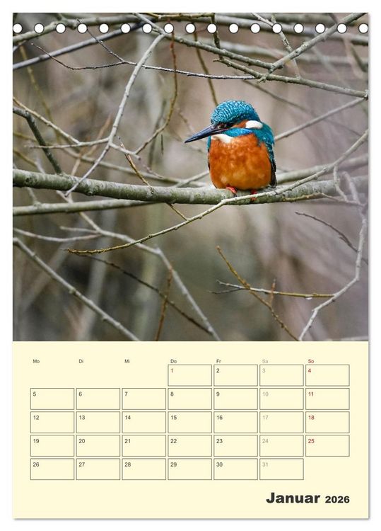 Produktbild: Vogelwelt an der Sieg (Tischkalender 2026 DIN A5 hoch), CALVENDO Monatskalender