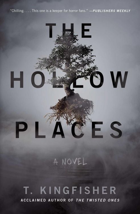 Produktbild: Hollow Places
