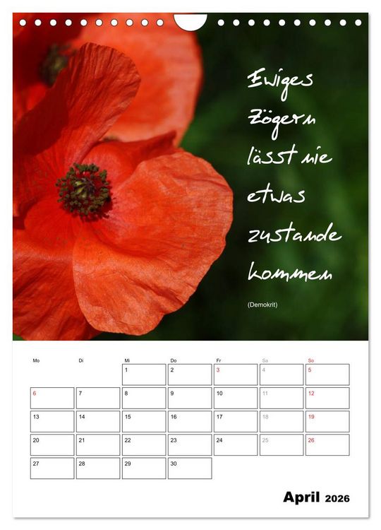 Produktbild: Spr&uuml;che und Weisheiten f&uuml;r&acute; s Jahr (Wandkalender 2026 DIN A4 hoch), CALVENDO Monatskalender