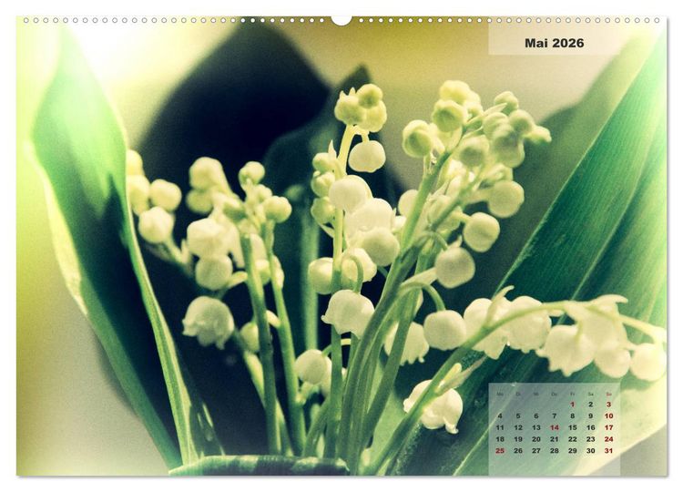 Produktbild: Bl&uuml;ten im Retro-Style (Wandkalender 2026 DIN A2 quer), CALVENDO Monatskalender