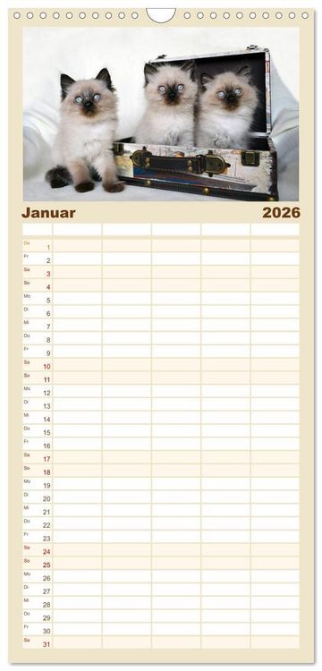 Produktbild: Familienplaner 2026 - Katzenparade mit 5 Spalten (Wandkalender, 21 x 45 cm) CALVENDO
