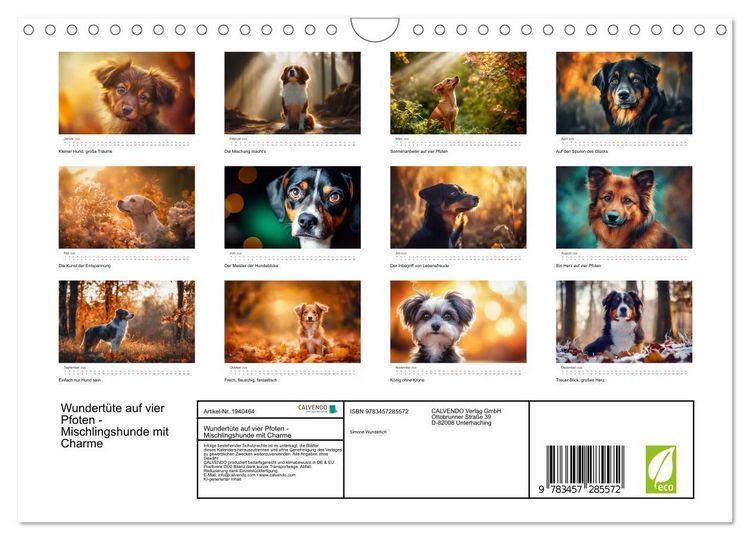 Produktbild: Wundert&uuml;te auf vier Pfoten - Mischlingshunde mit Charme (Wandkalender 2026 DIN A4 quer), CALVENDO Monatskalender