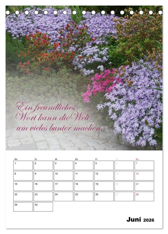 Produktbild: Sch&ouml;ne Spr&uuml;che f&uuml;r Dein ganzes Jahr (Tischkalender 2026 DIN A5 hoch), CALVENDO Monatskalender