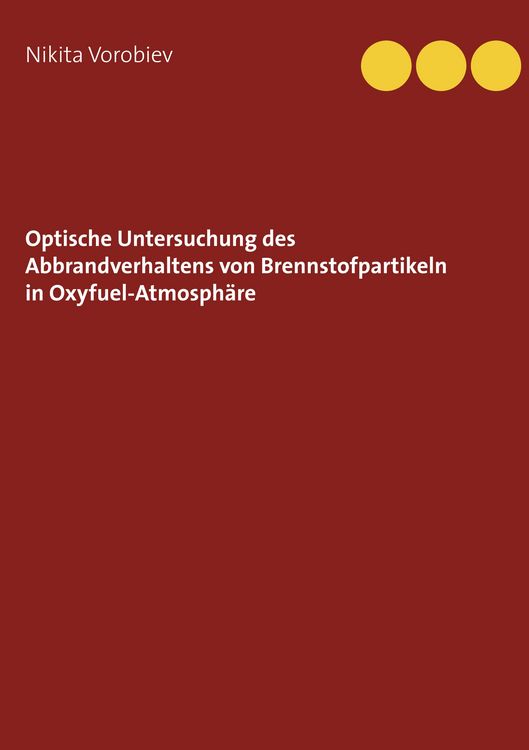 Produktbild: Optische Untersuchung des Abbrandverhaltens von Brennstoffpartikeln in Oxyfuel-Atmosph&auml;re