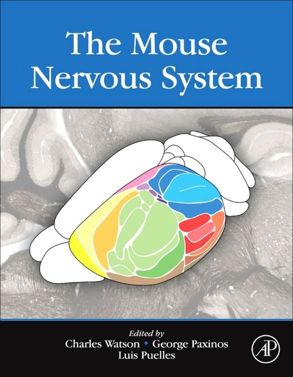 Produktbild: The Mouse Nervous System