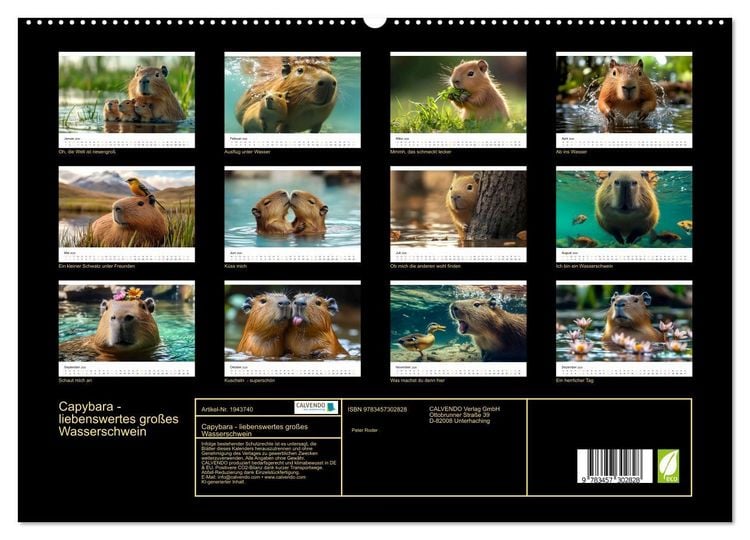 Produktbild: Capybara - liebenswertes gro&szlig;es Wasserschwein (hochwertiger Premium Wandkalender 2026 DIN A2 quer), Kunstdruck in Hochglanz