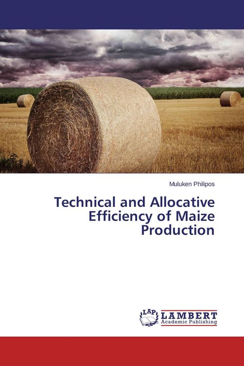 Produktbild: Technical and Allocative Efficiency of Maize Production
