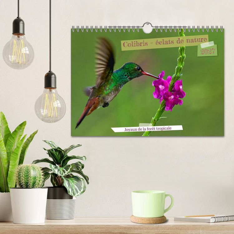 Produktbild: Colibris &ndash; &eacute;clats de nature (Calendrier mural 2027 DIN A4 vertical), CALVENDO calendrier mensuel