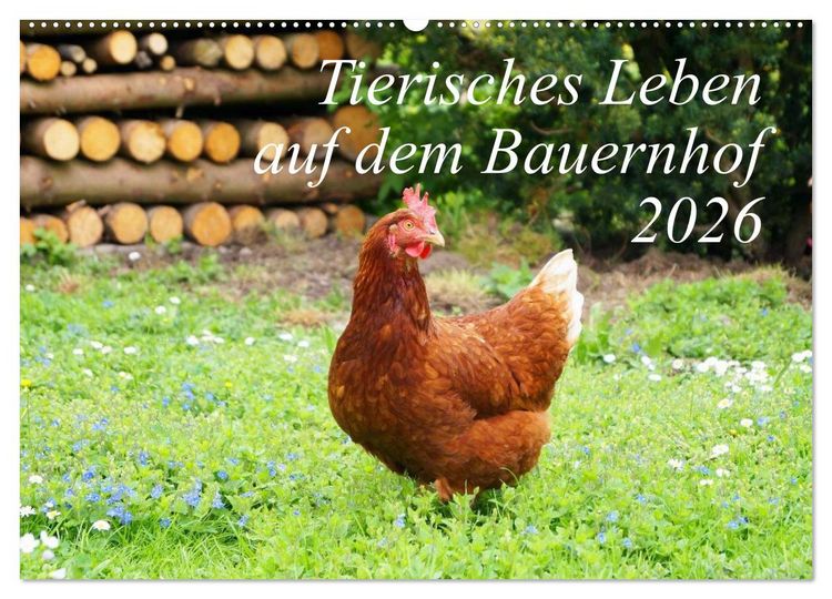 Produktbild: Tierisches Leben auf dem Bauernhof 2026 (Wandkalender 2026 DIN A2 quer), CALVENDO Monatskalender