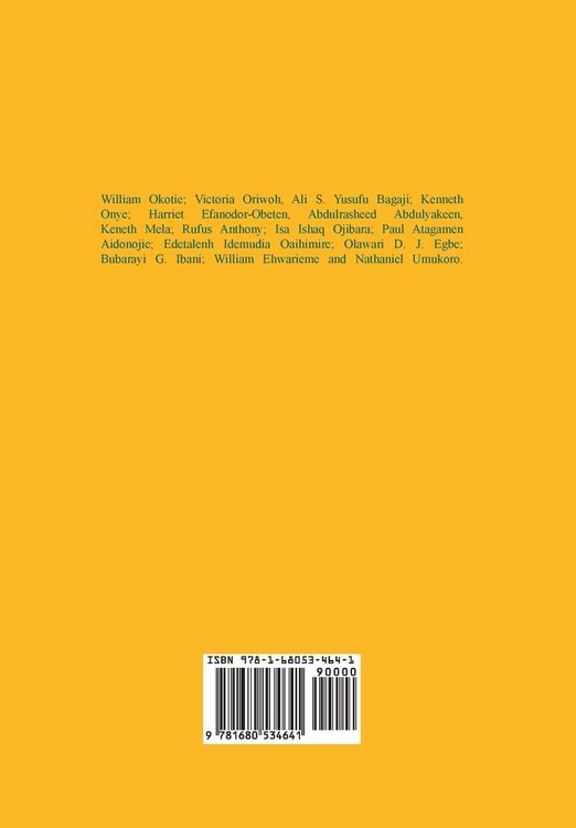 Produktbild: Democracy and Human Rights in Nigeria's Fourth Republic
