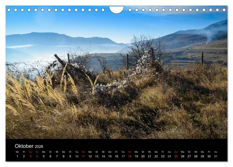 Produktbild: Wachau, Wachau, du Tr&auml;umerin (Wandkalender 2026 DIN A4 quer), CALVENDO Monatskalender