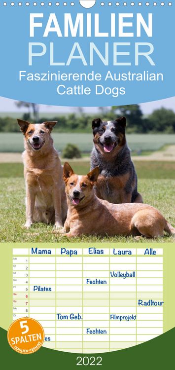 Produktbild: Familienplaner Faszinierende Australian Cattle Dogs (Wandkalender 2022 , 21 cm x 45 cm, hoch)