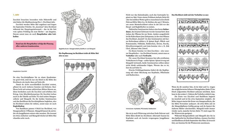 Produktbild: Das gro&szlig;e Hochbeet-Buch