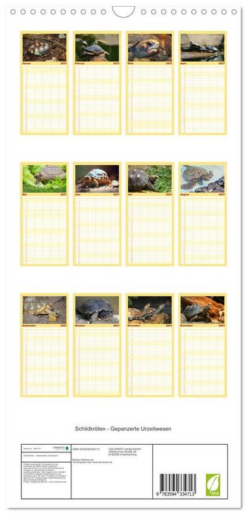 Produktbild: Familienplaner 2027 - Schildkr&ouml;ten - Gepanzerte Urzeitwesen mit 5 Spalten (Wandkalender, 21 x 45 cm) CALVENDO