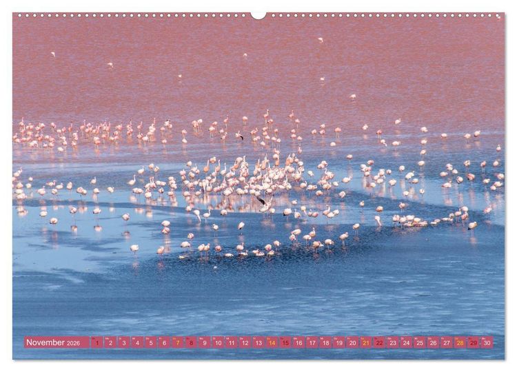 Produktbild: Farbenfrohes Bolivien (hochwertiger Premium Wandkalender 2026 DIN A2 quer), Kunstdruck in Hochglanz
