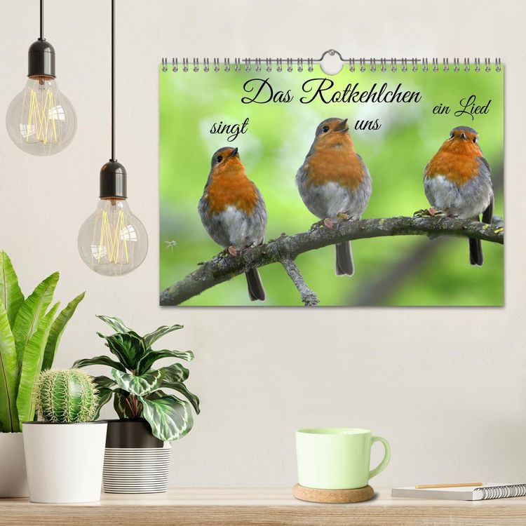 Produktbild: Das Rotkehlchen singt uns ein Lied (Wandkalender 2026 DIN A4 quer), CALVENDO Monatskalender
