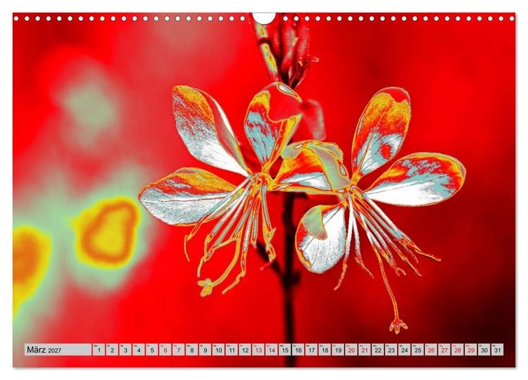 Produktbild: Blumen Pop-Art (Wandkalender 2027 DIN A3 quer), CALVENDO Monatskalender