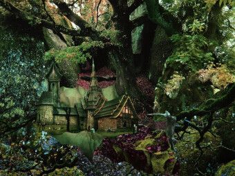 Produktbild: CALVENDO Puzzle Zauberwald | 1000 Teile Lege-Gr&ouml;&szlig;e 64x48cm Foto-Puzzle f&uuml;r gl&uuml;ckliche Stunden