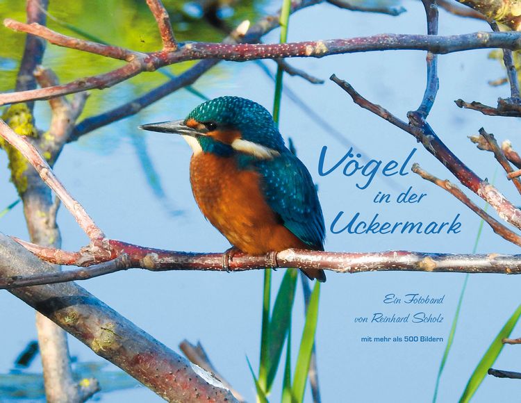 Produktbild: V&ouml;gel in der Uckermark