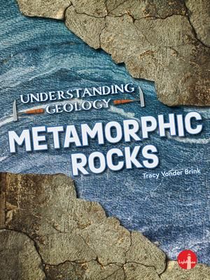 Produktbild: Metamorphic Rocks