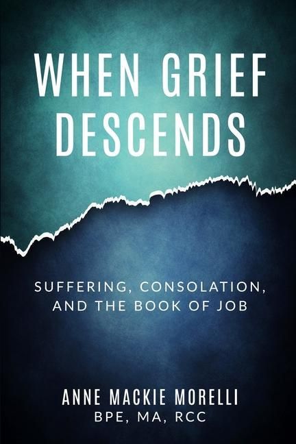 Produktbild: When Grief Descends: Suffering, Consolation, And The Book Of Job