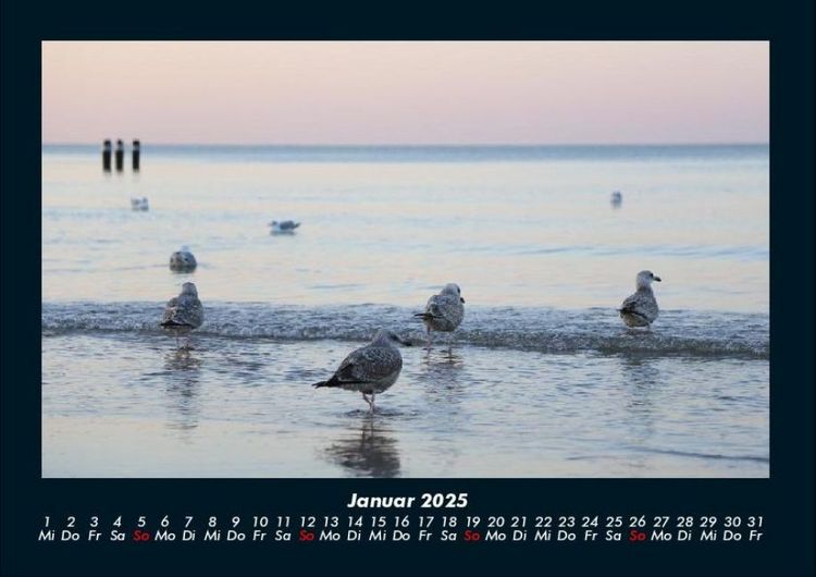 Produktbild: Meereslandschaft 2025 Fotokalender DIN A4