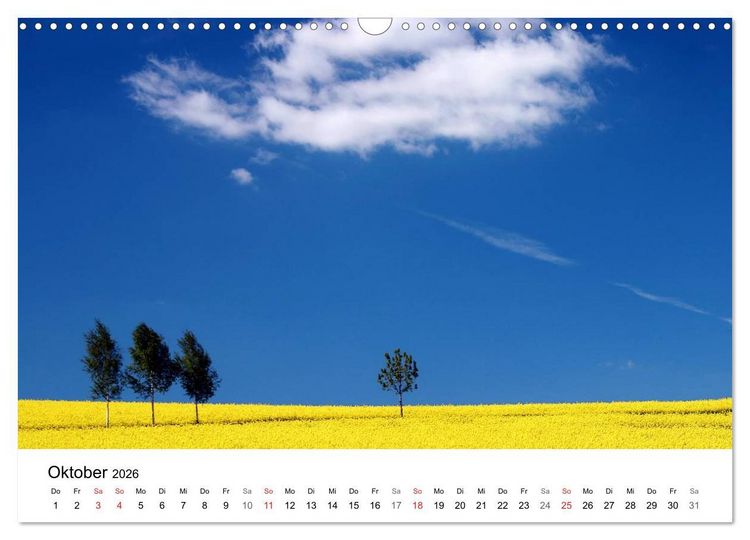 Produktbild: Rapsodie (Wandkalender 2026 DIN A3 quer), CALVENDO Monatskalender