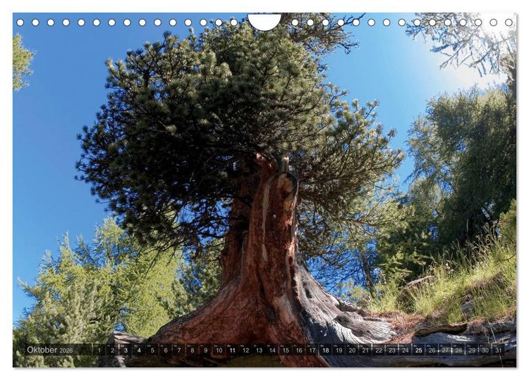 Produktbild: Alpen live - Rund um das Matterhorn (Wandkalender 2026 DIN A4 quer), CALVENDO Monatskalender