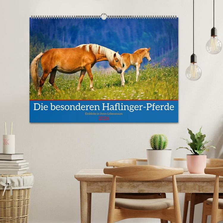 Produktbild: Die besonderen Haflinger-Pferde (Wandkalender 2026 DIN A2 quer), CALVENDO Monatskalender