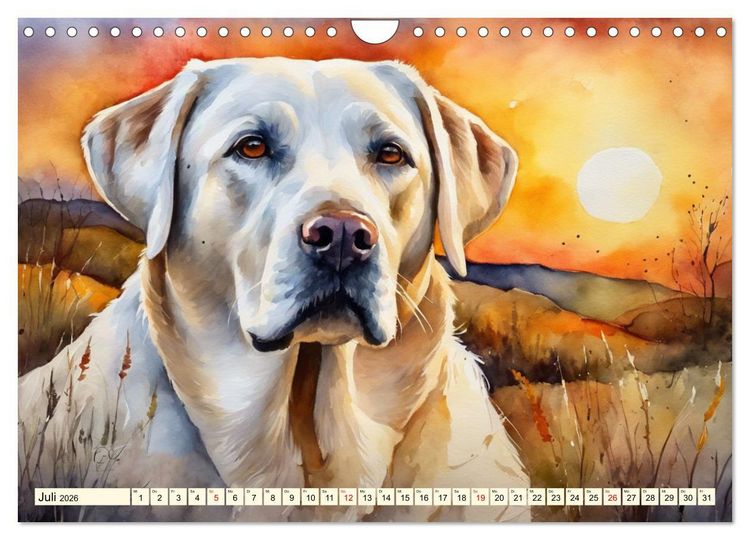 Produktbild: Voller Kraft und Energie - Labrador-Retriever (Wandkalender 2026 DIN A4 quer), CALVENDO Monatskalender