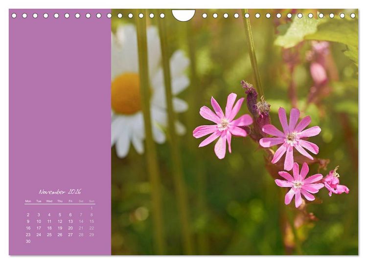 Produktbild: Vibrancy of flowers (Wall Calendar 2026 DIN A4 landscape), CALVENDO 12 Month Wall Calendar