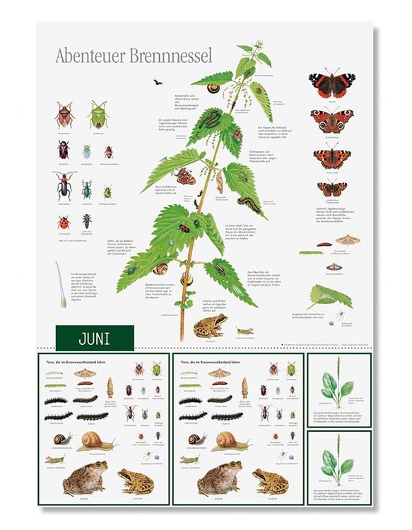 Produktbild: Natur erleben durch das Jahr - 3