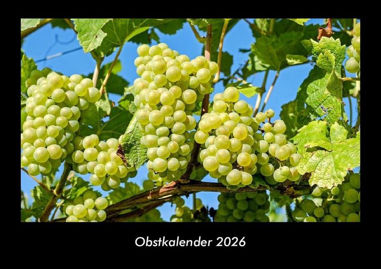 Produktbild: Obstkalender 2026 Fotokalender DIN A3