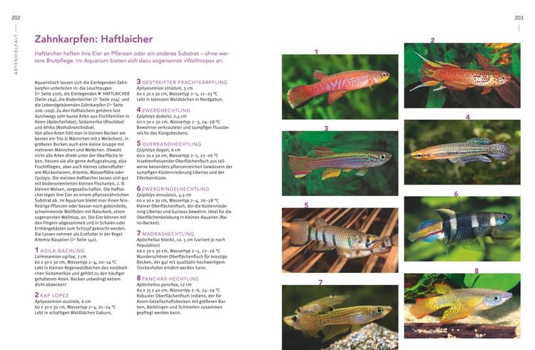 Produktbild: Praxishandbuch Aquarium