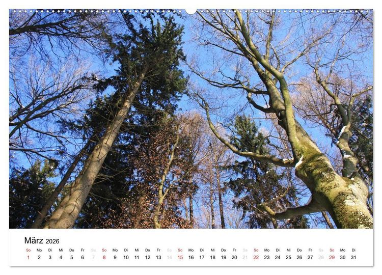 Produktbild: Der Ebersberger Forst und seine Umgebung (Wandkalender 2026 DIN A2 quer), CALVENDO Monatskalender