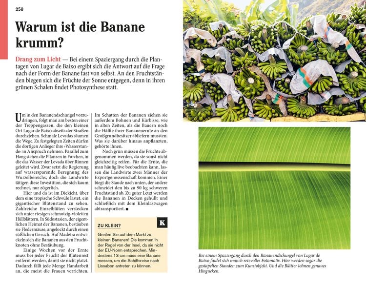 Produktbild: DUMONT Reise-Taschenbuch Reiseführer Madeira