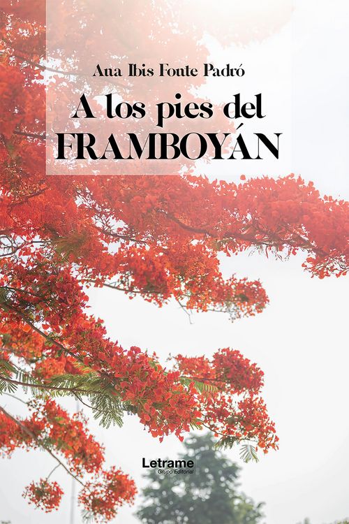 Produktbild: A los pies de framboy&aacute;n