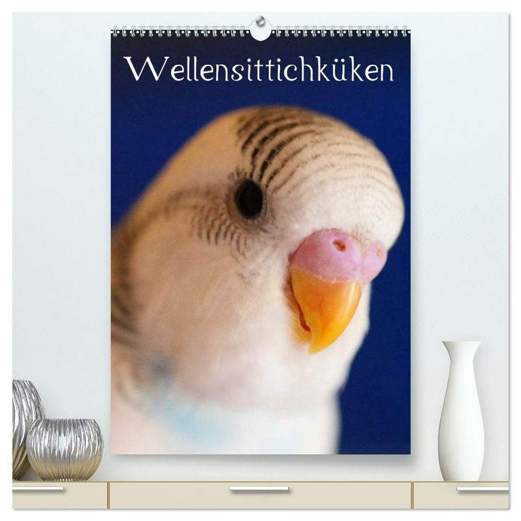 Produktbild: Wellensittichk&uuml;ken (hochwertiger Premium Wandkalender 2026 DIN A2 hoch), Kunstdruck in Hochglanz