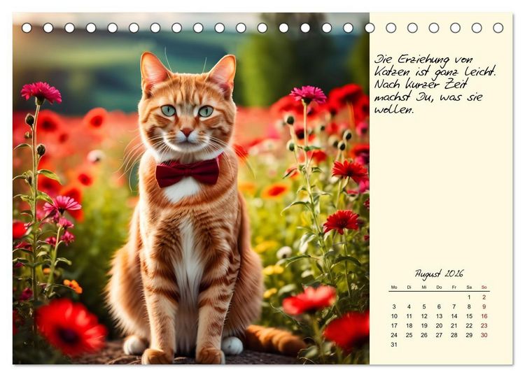 Produktbild: Katzen - Charakter und Sch&ouml;nheit (Tischkalender 2026 DIN A5 quer), CALVENDO Monatskalender
